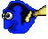 Blue Tang