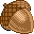 Acorn
