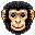 Monkey 3