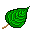 Leaf 8