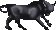 Bull