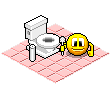 Cleaning The Toilet