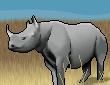 One Horned Rhino