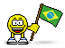 Brazilian Flag