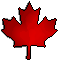 Maple Leaf